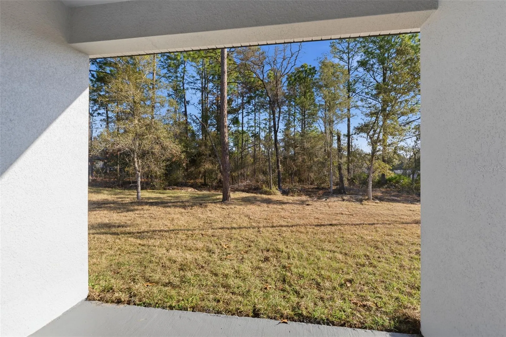 8041 N Pickinz Way Citrus Springs FL 34433
