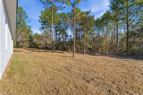 8041 N Pickinz Way Citrus Springs FL 34433