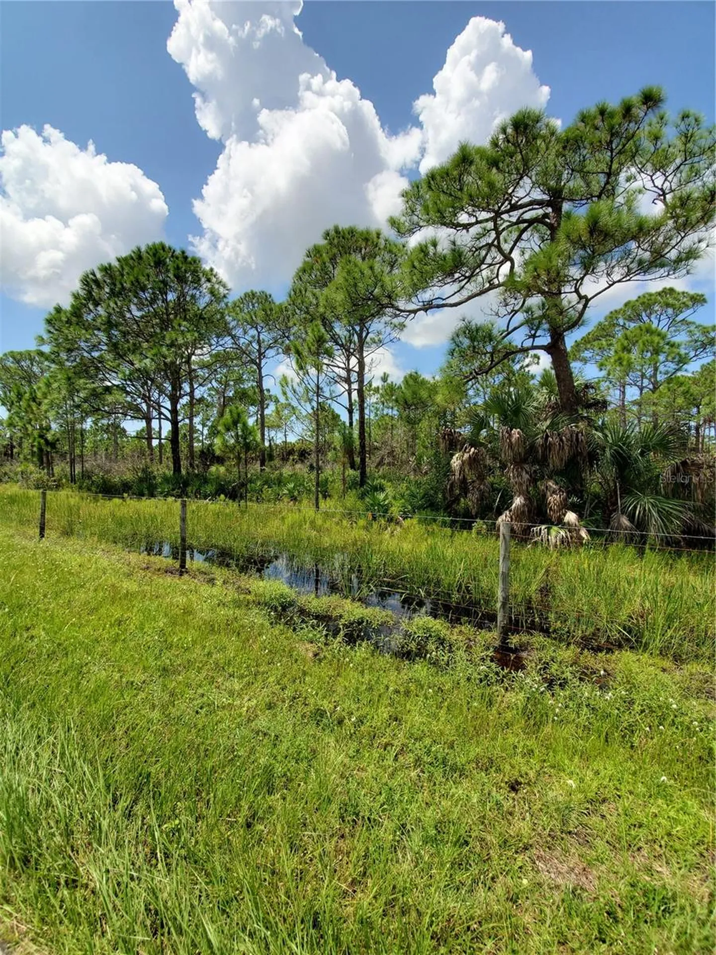 5464 Jennings Boulevard Port Charlotte FL 33981
