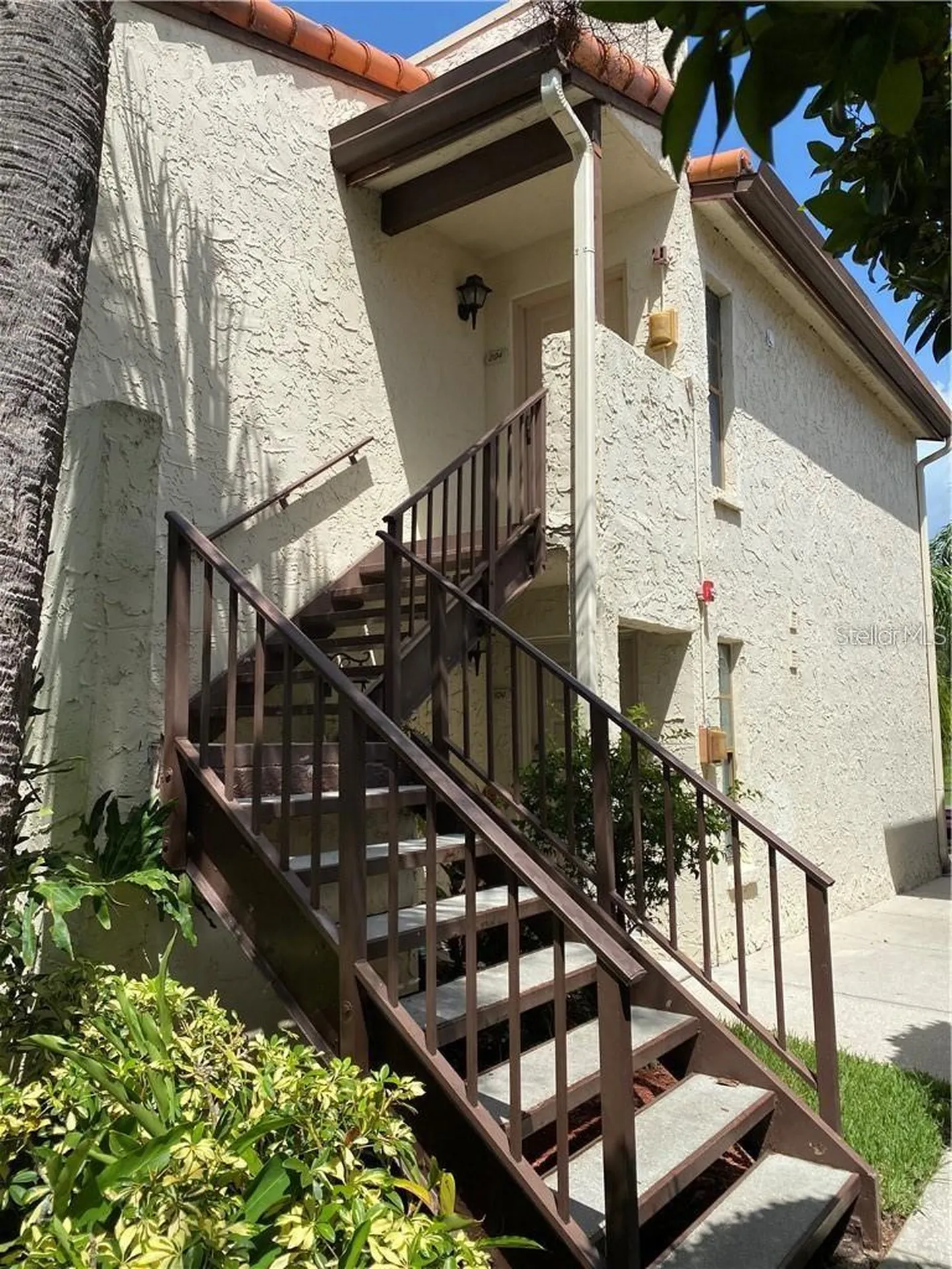2587 Cyprus Drive Palm Harbor FL 34684