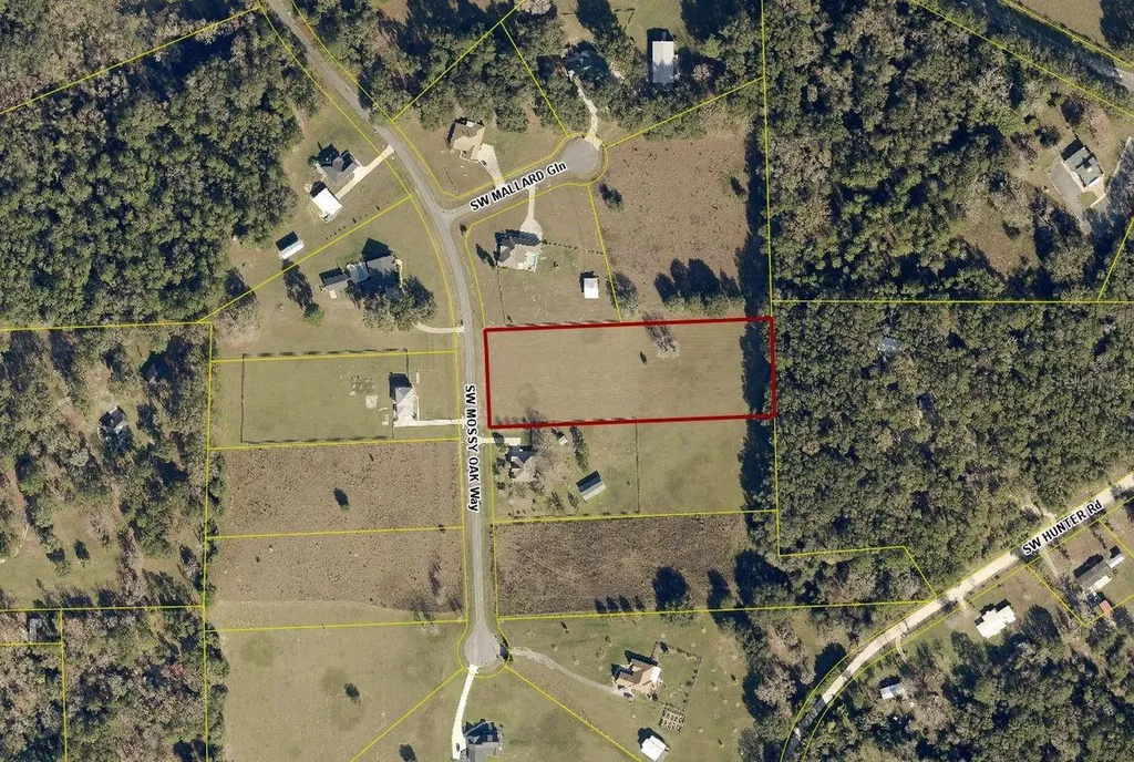 389 SW Mossy Oak Way Lake City FL 32024