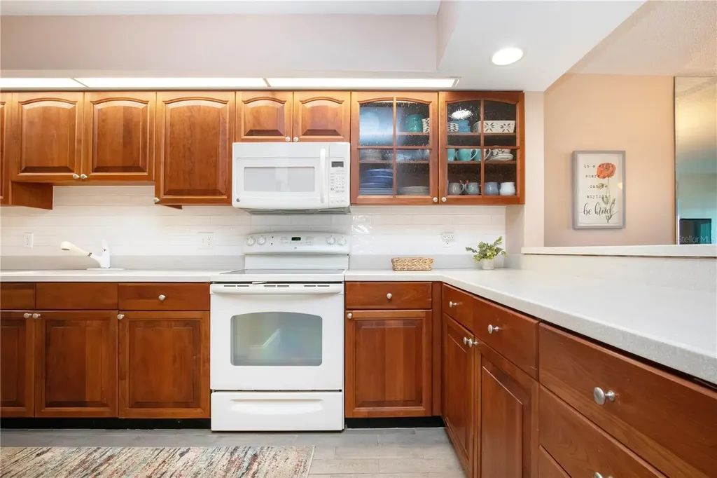 802 Bahia Del Sol Drive Ruskin FL 33570