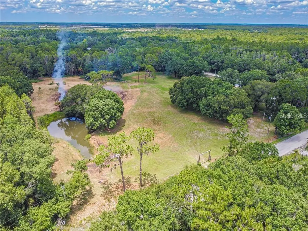 1453 Creek Road Wesley Chapel FL 33543