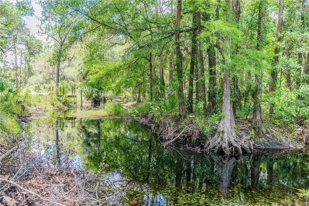 1453 Creek Road Wesley Chapel FL 33543