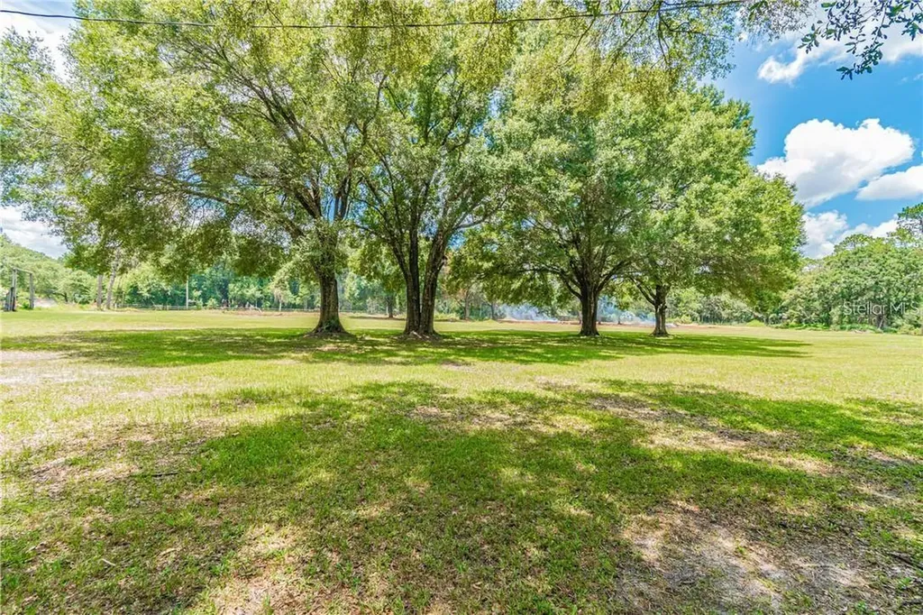 1453 Creek Road Wesley Chapel FL 33543