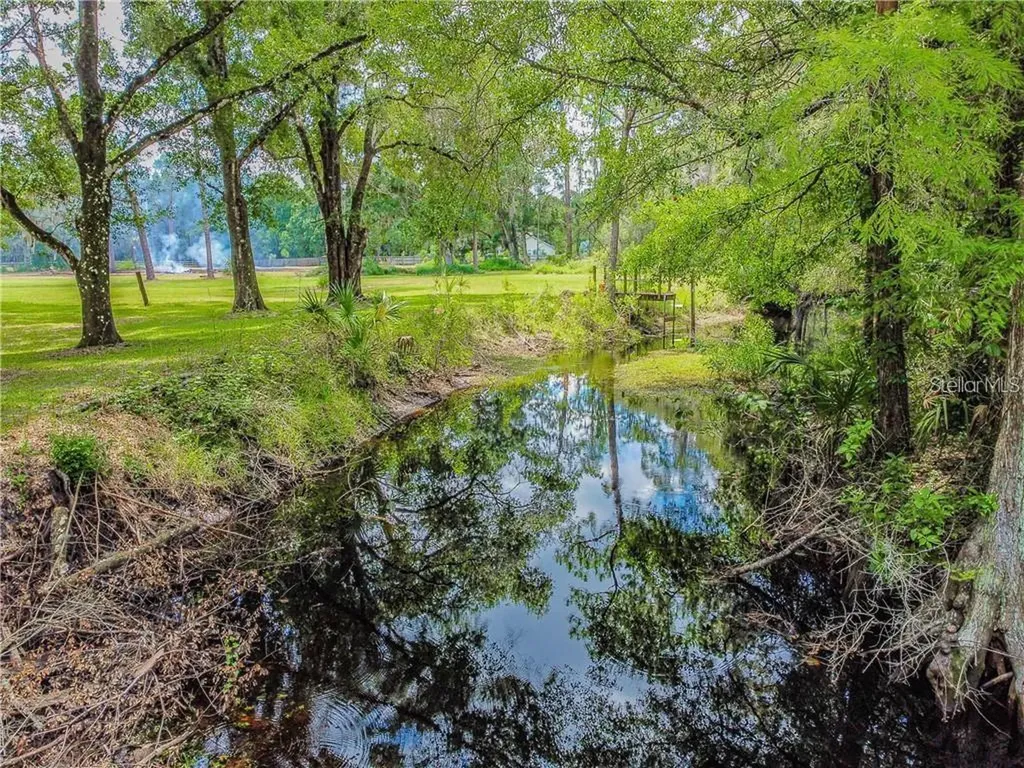 1453 Creek Road Wesley Chapel FL 33543
