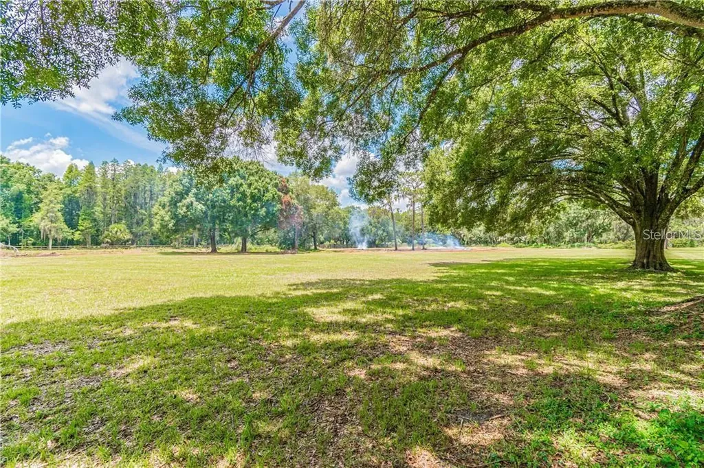 1453 Creek Road Wesley Chapel FL 33543