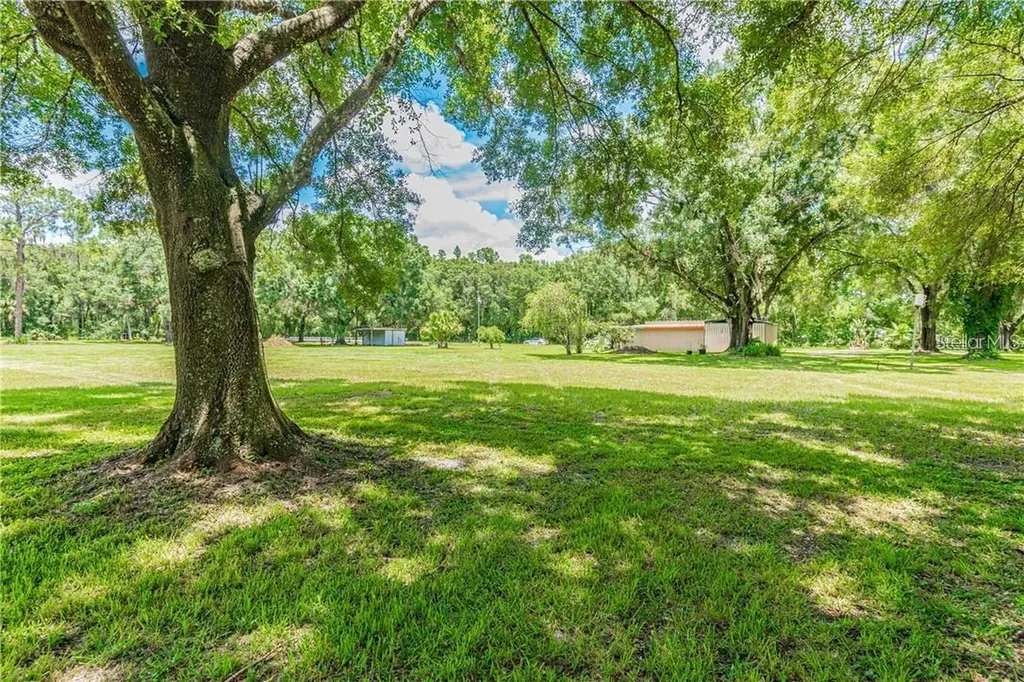 1453 Creek Road Wesley Chapel FL 33543