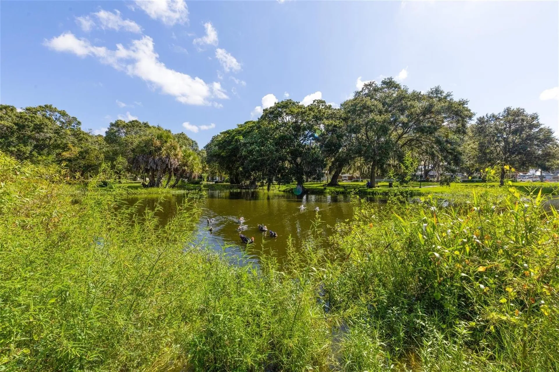 1716 10th Way Sarasota FL 34236