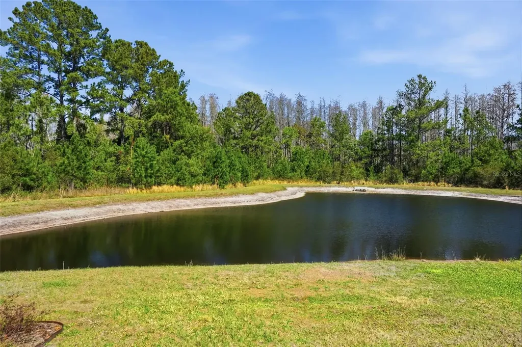 18093 Turning Leaf Circle Land O Lakes FL 34638