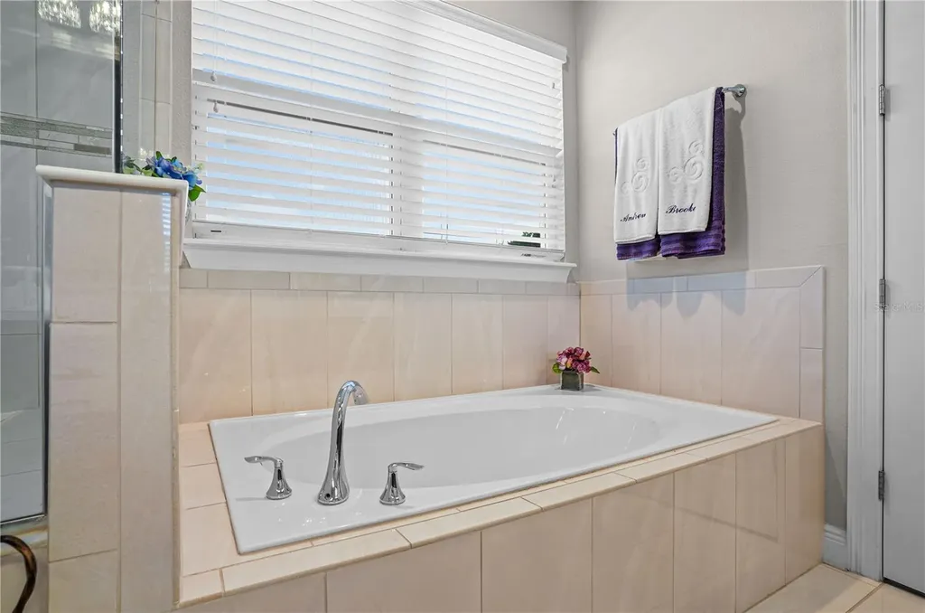 25863 Crossings Bluff Lane Sorrento FL 32776