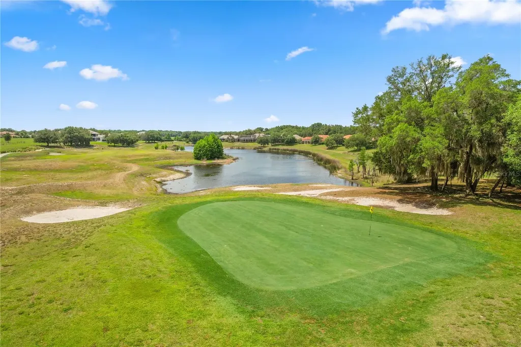 25863 Crossings Bluff Lane Sorrento FL 32776