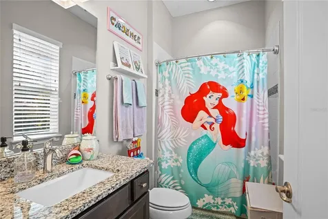 25863 Crossings Bluff Lane Sorrento FL 32776