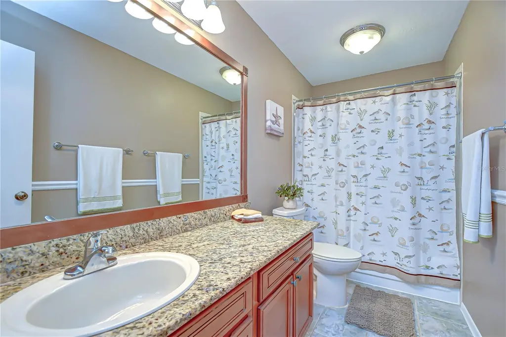 1428 Shell Flower Drive Brandon FL 33511