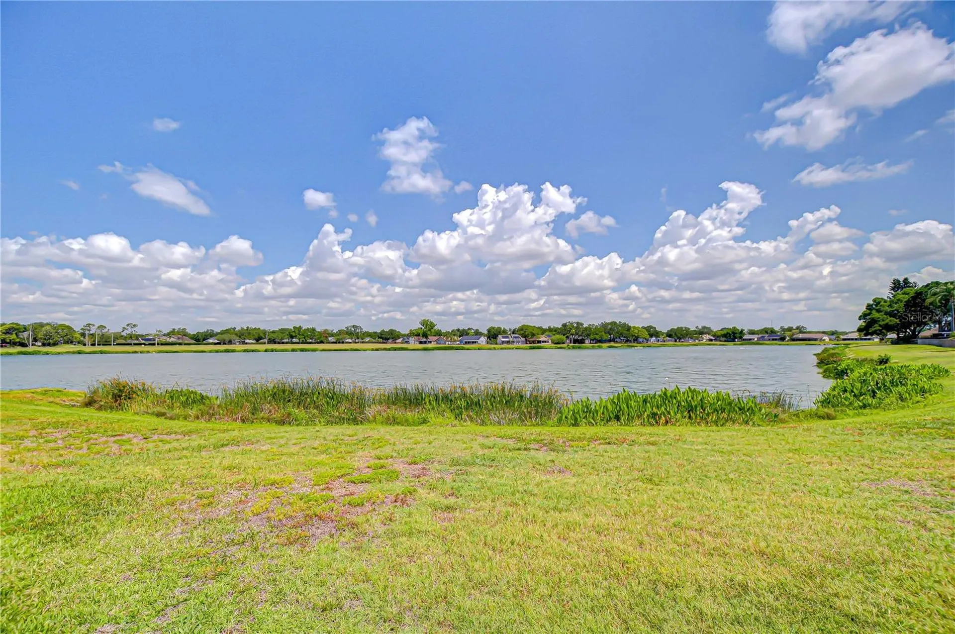 1428 Shell Flower Drive Brandon FL 33511
