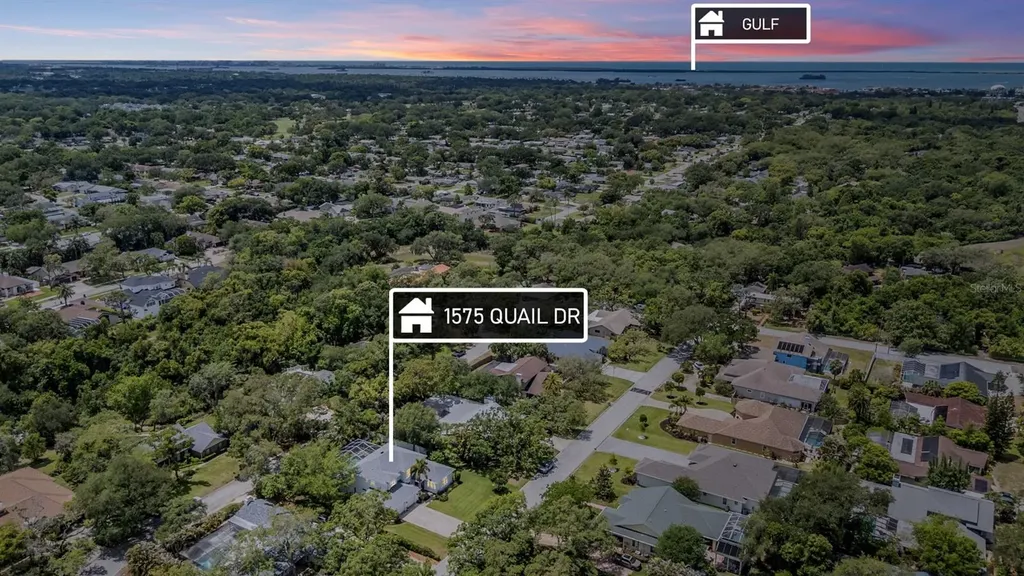 1575 Quail Drive Dunedin FL 34698