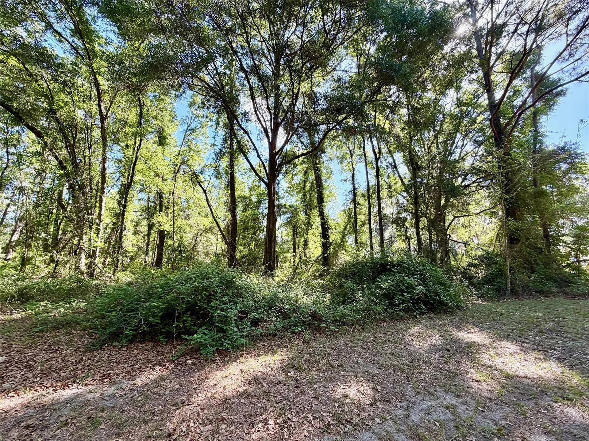 25104 N County Road 1491 Alachua FL 32615