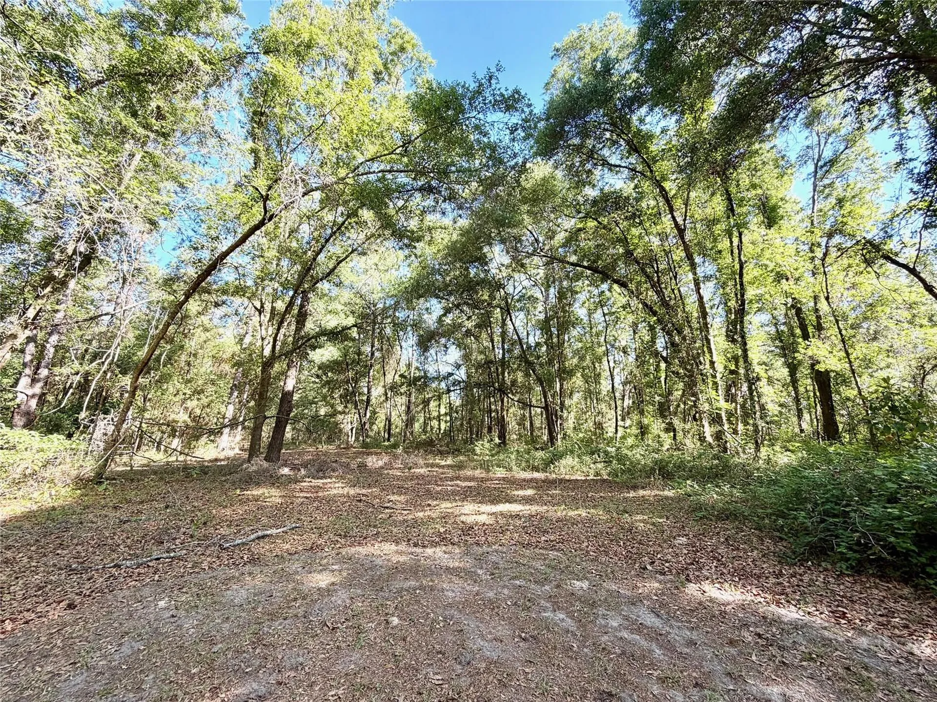 25104 N County Road 1491 Alachua FL 32615
