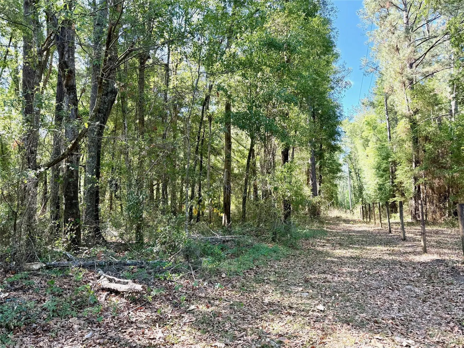 25104 N County Road 1491 Alachua FL 32615