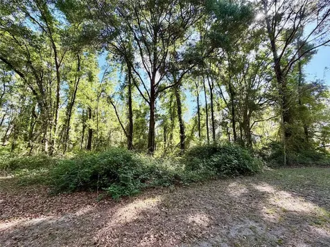 25104 N County Road 1491 Alachua FL 32615