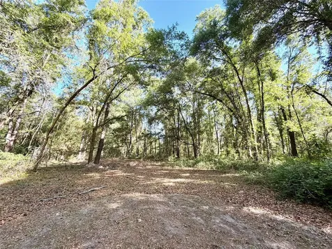25104 N County Road 1491 Alachua FL 32615