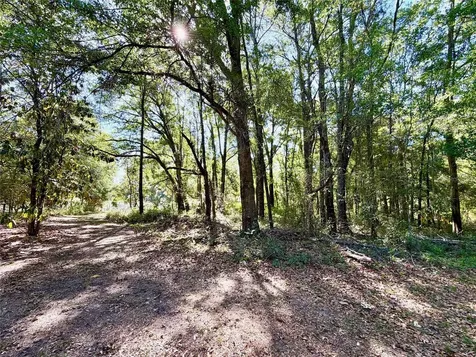 25104 N County Road 1491 Alachua FL 32615