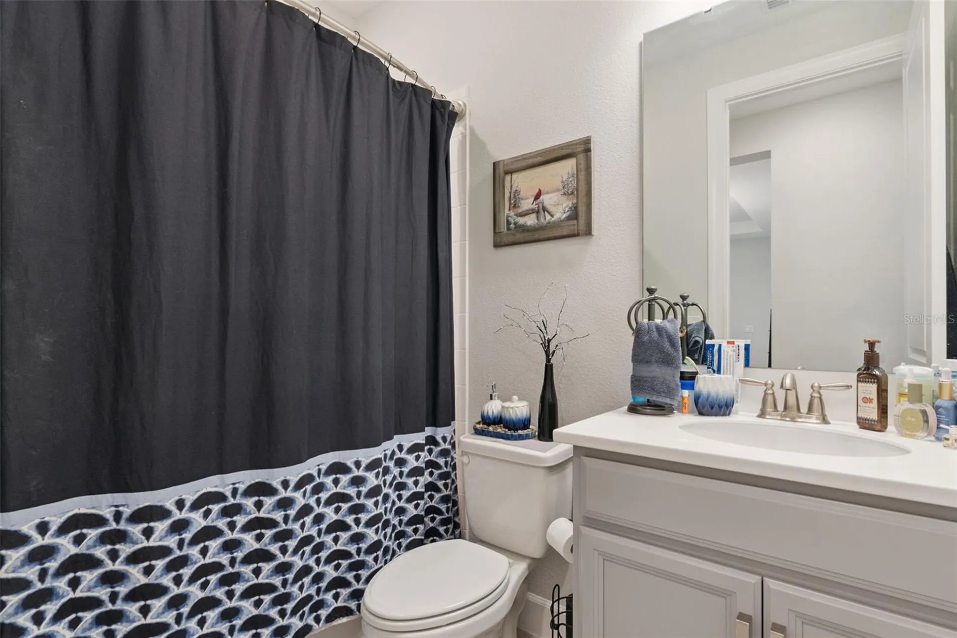 959 Braewood Drive Clermont FL 34715