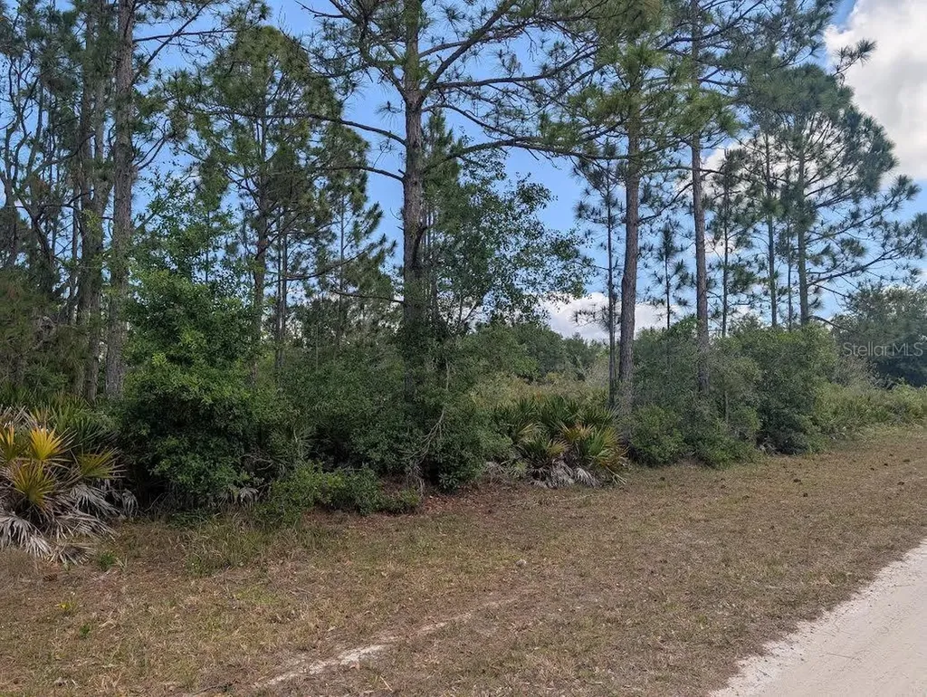 508 Orchid Drive Indian Lake Estates FL 33855