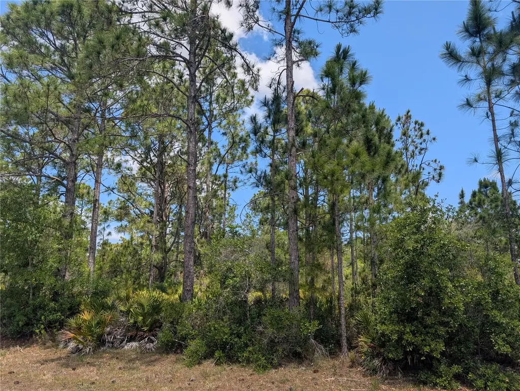508 Orchid Drive Indian Lake Estates FL 33855