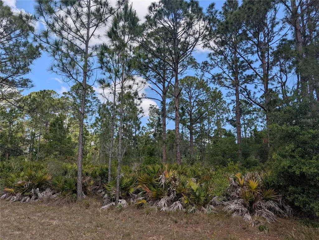 508 Orchid Drive Indian Lake Estates FL 33855