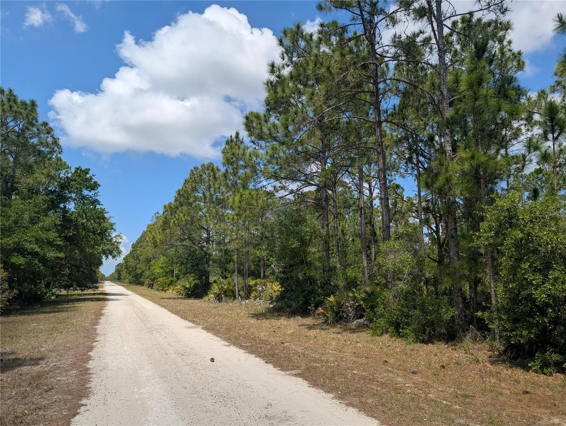 508 Orchid Drive Indian Lake Estates FL 33855