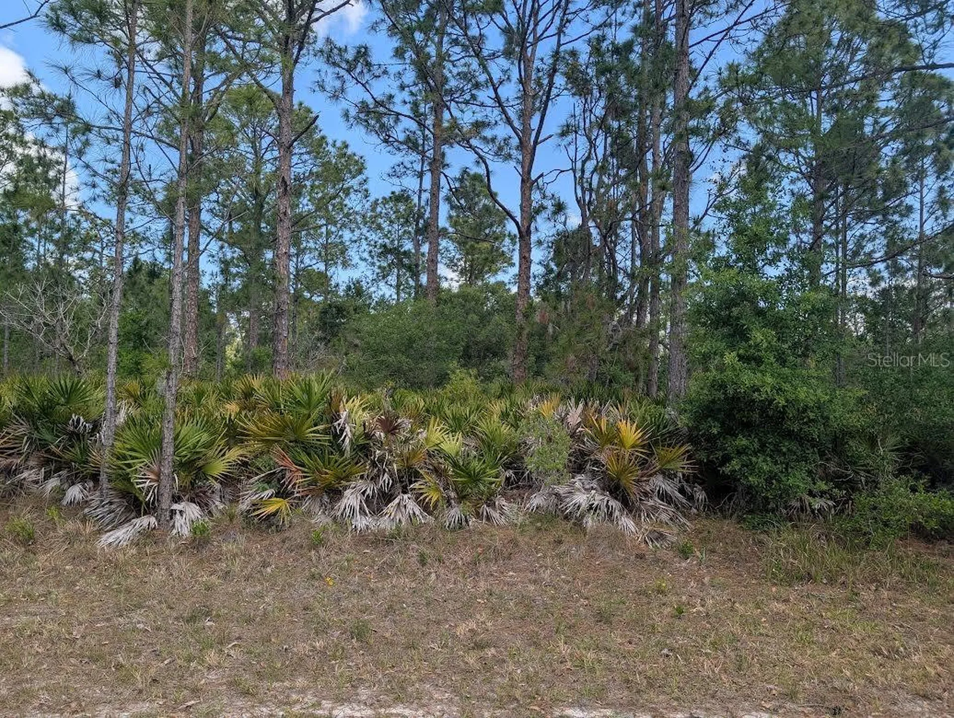 508 Orchid Drive Indian Lake Estates FL 33855