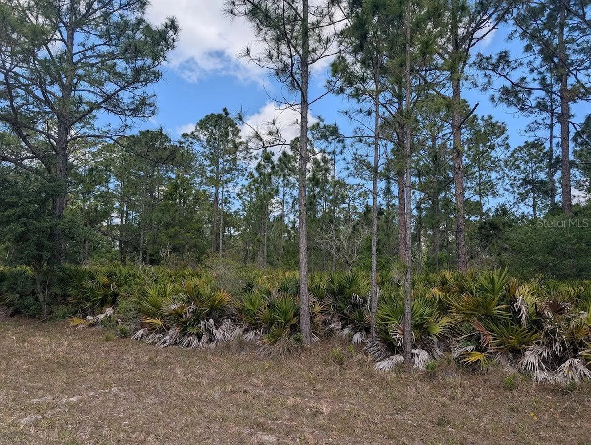 508 Orchid Drive Indian Lake Estates FL 33855