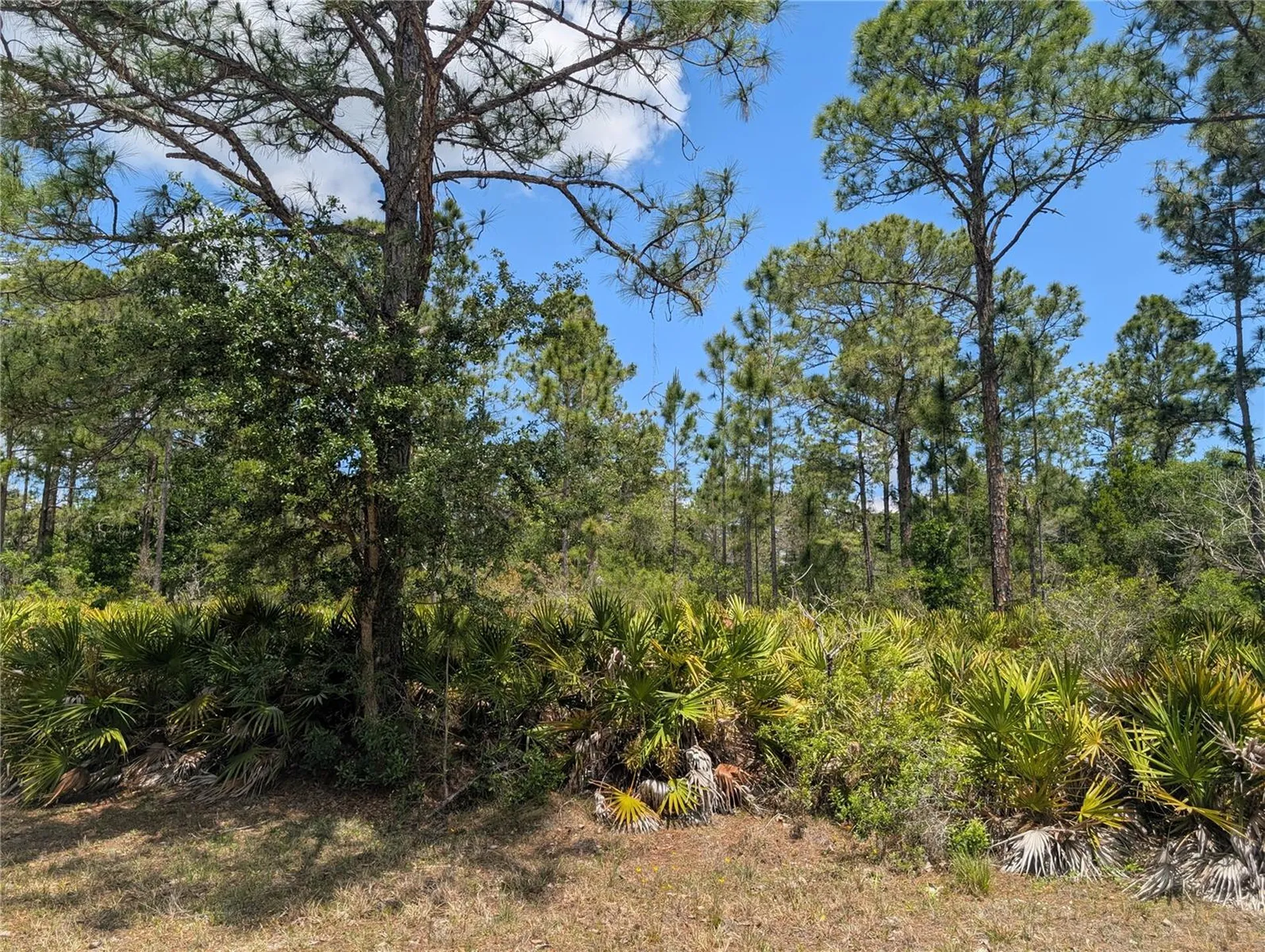 508 Orchid Drive Indian Lake Estates FL 33855