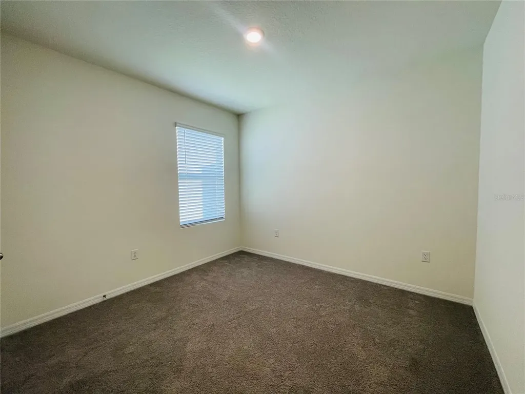 17043 Oval Rum Drive Wimauma FL 33598