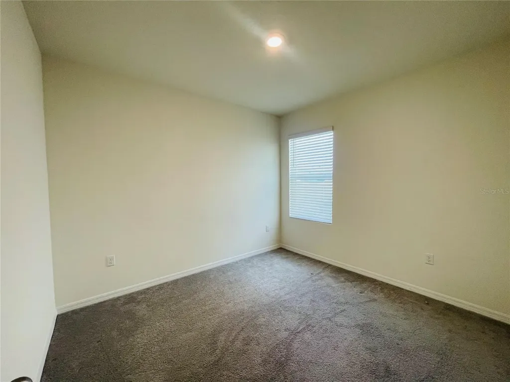 17043 Oval Rum Drive Wimauma FL 33598