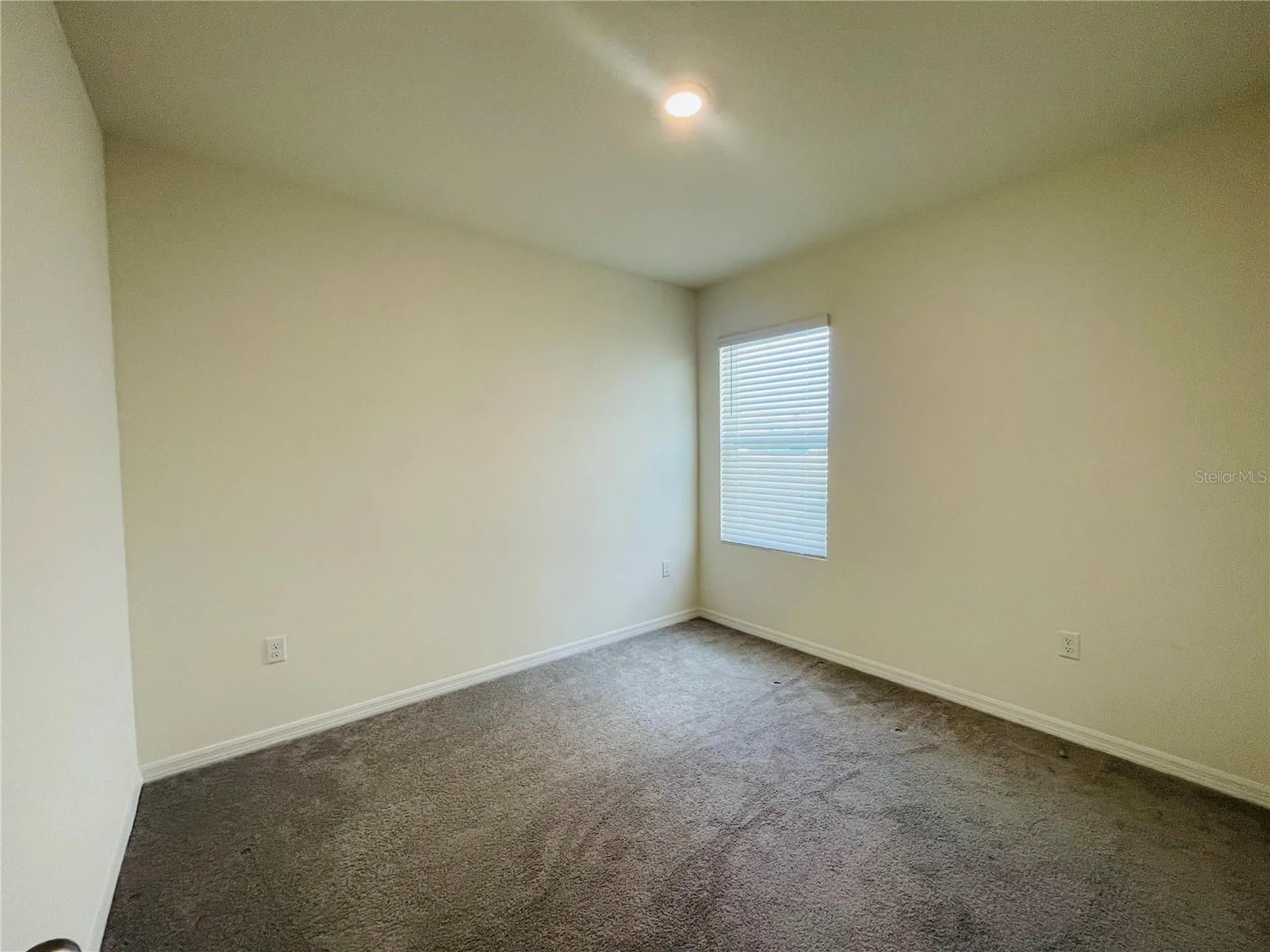 17043 Oval Rum Drive Wimauma FL 33598