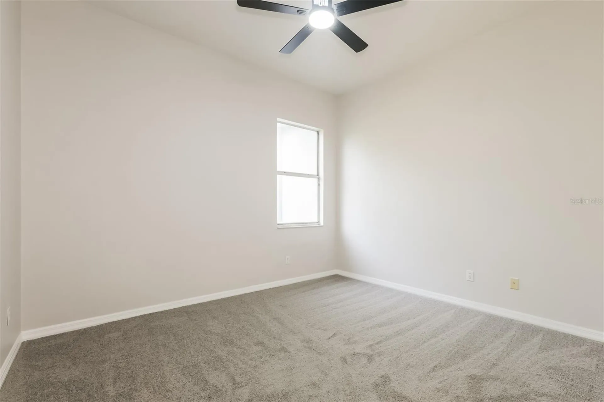 3810 Spruce Pine Drive Valrico FL 33596