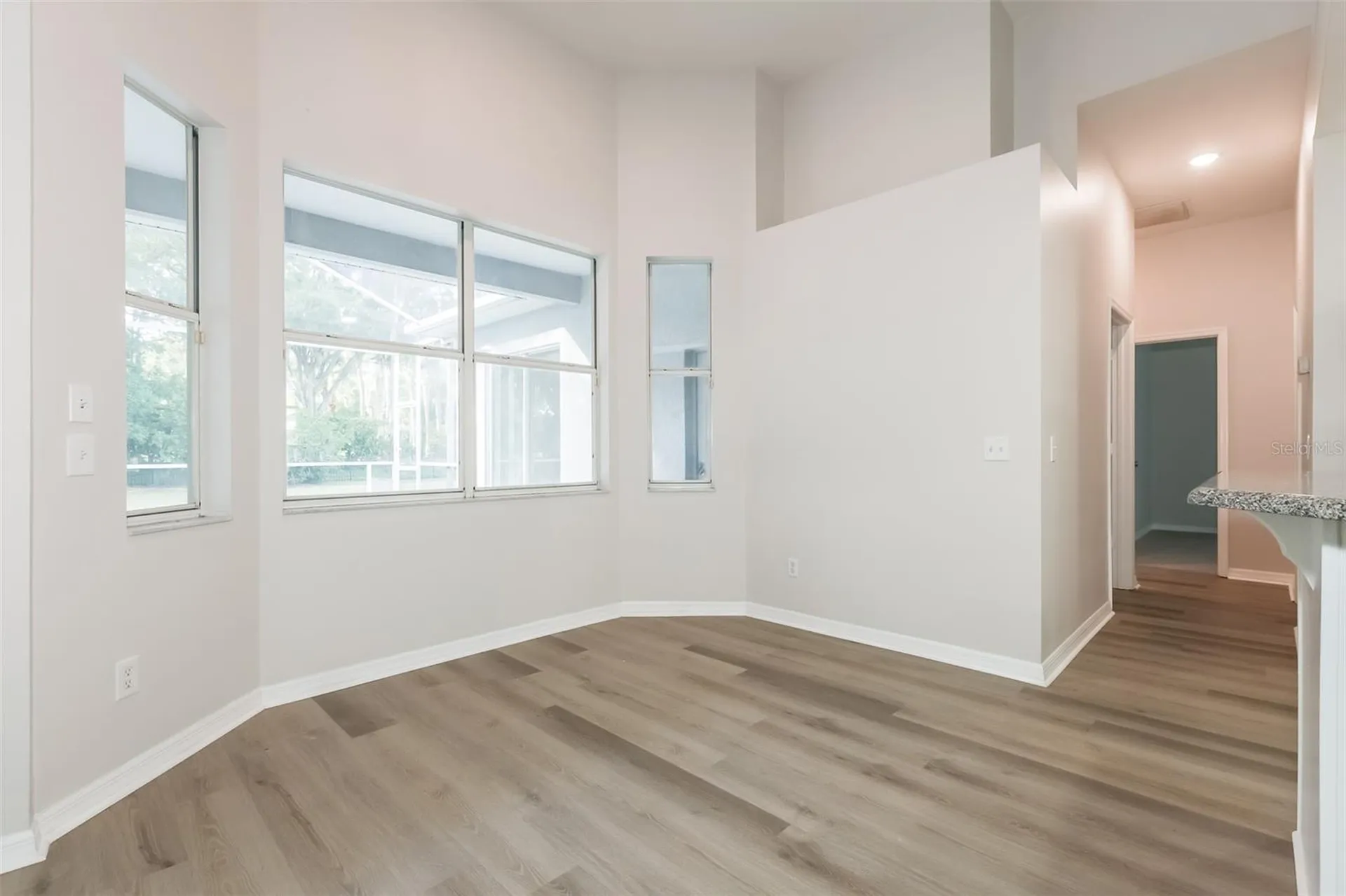 3810 Spruce Pine Drive Valrico FL 33596