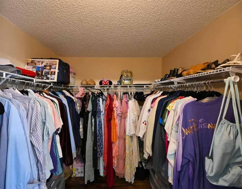 4517 Wild Plum Lane Lutz FL 33558