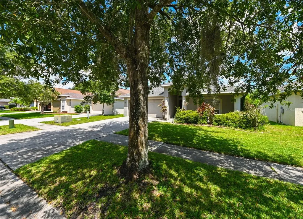 4517 Wild Plum Lane Lutz FL 33558