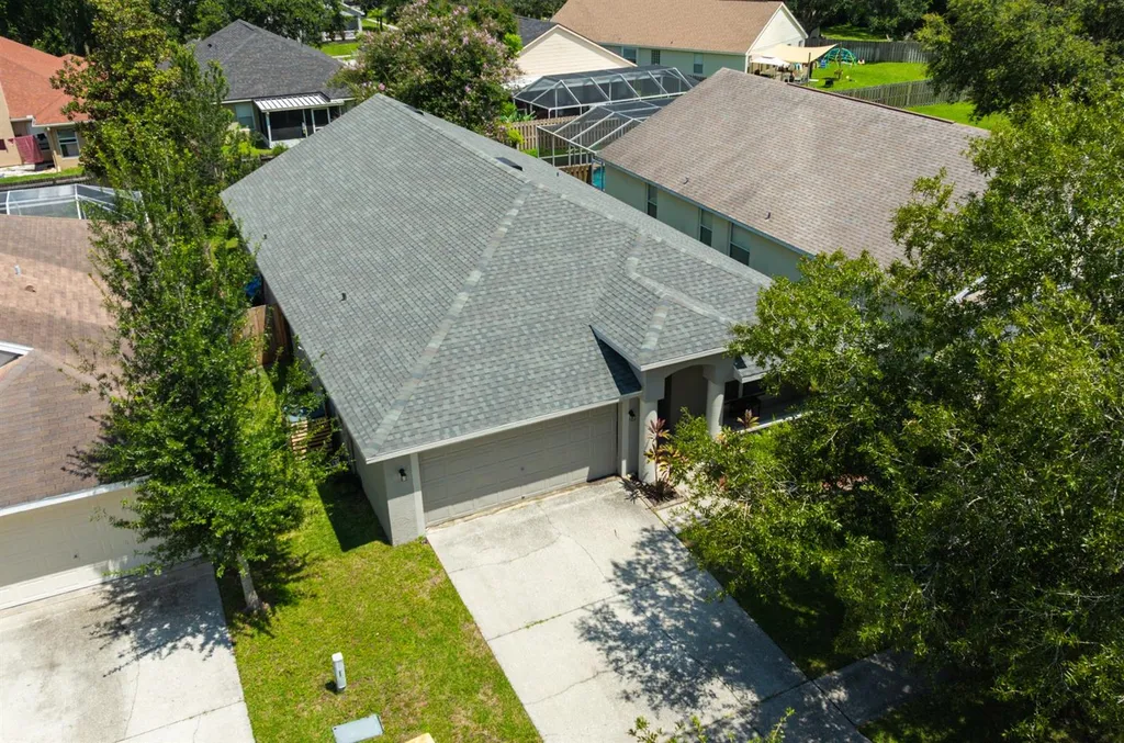 4517 Wild Plum Lane Lutz FL 33558