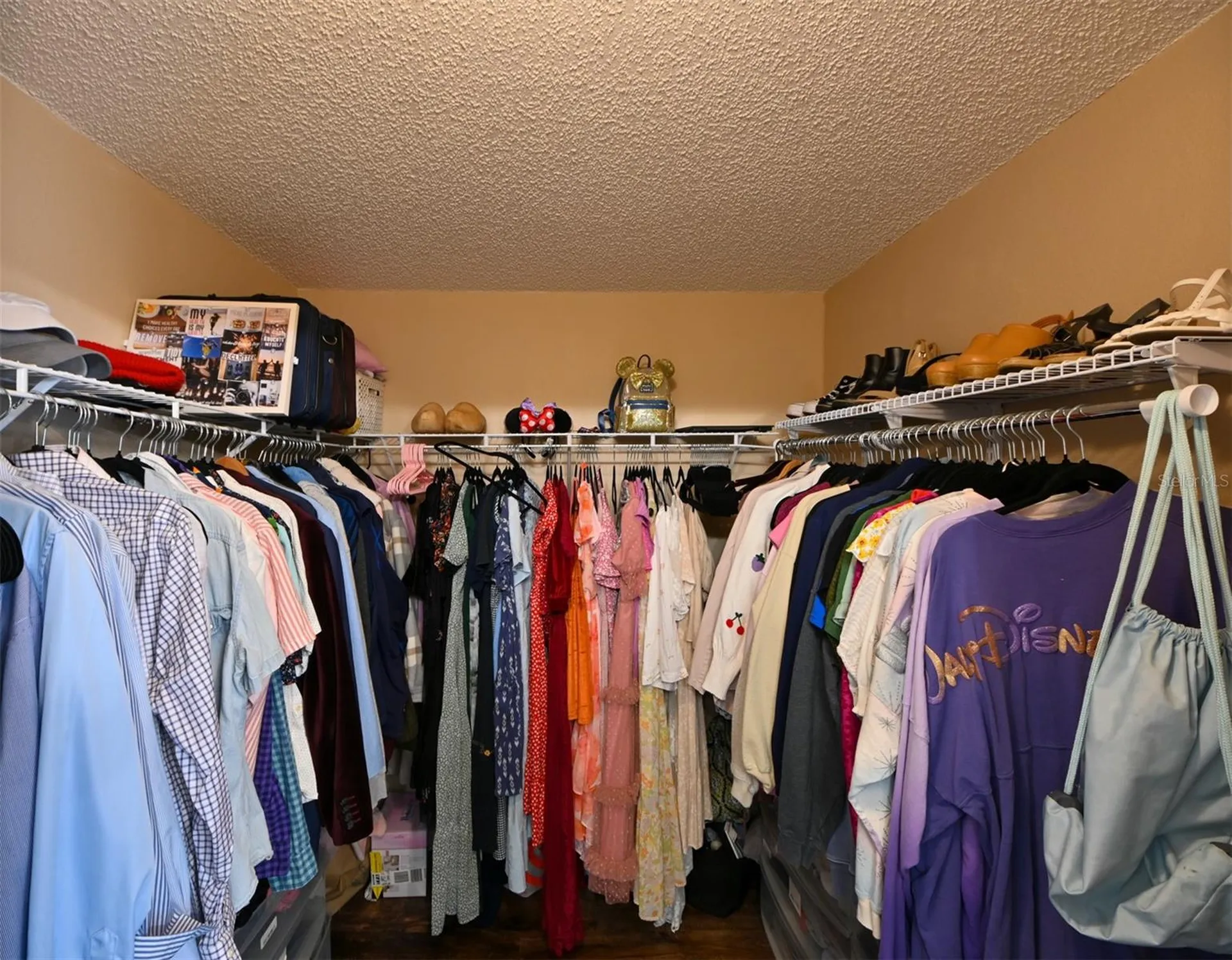 4517 Wild Plum Lane Lutz FL 33558