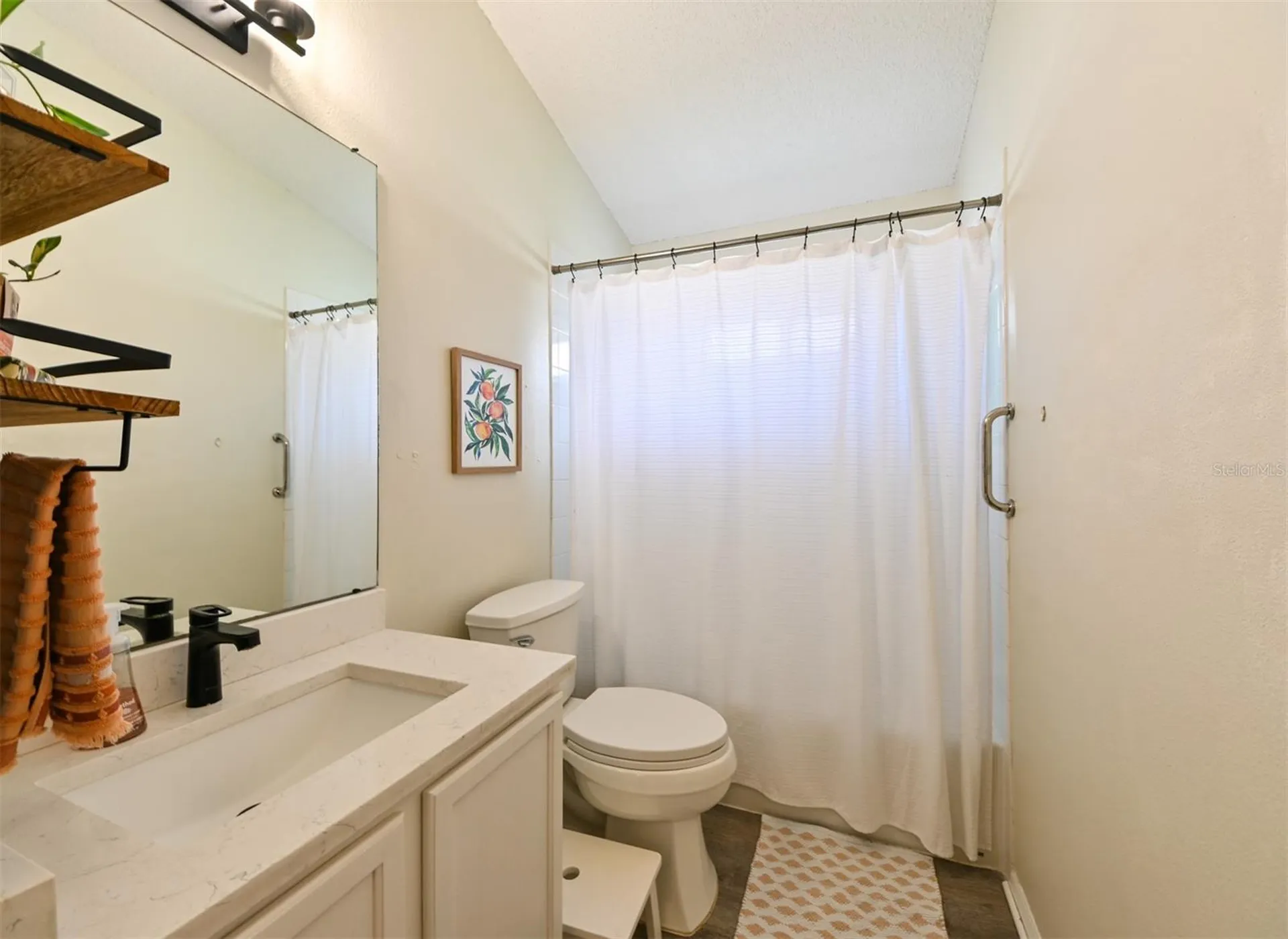 4517 Wild Plum Lane Lutz FL 33558