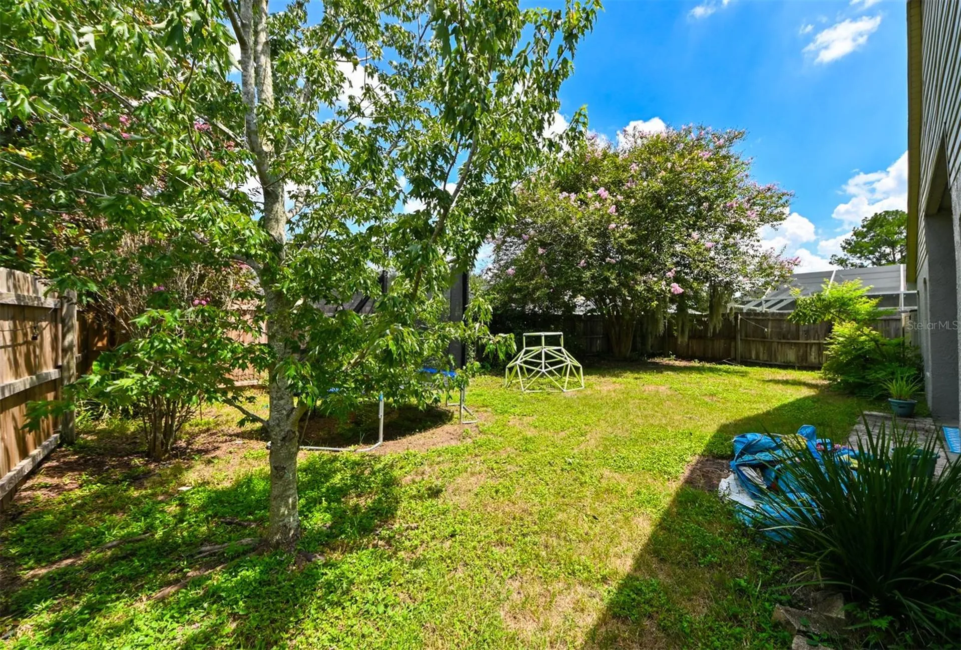 4517 Wild Plum Lane Lutz FL 33558