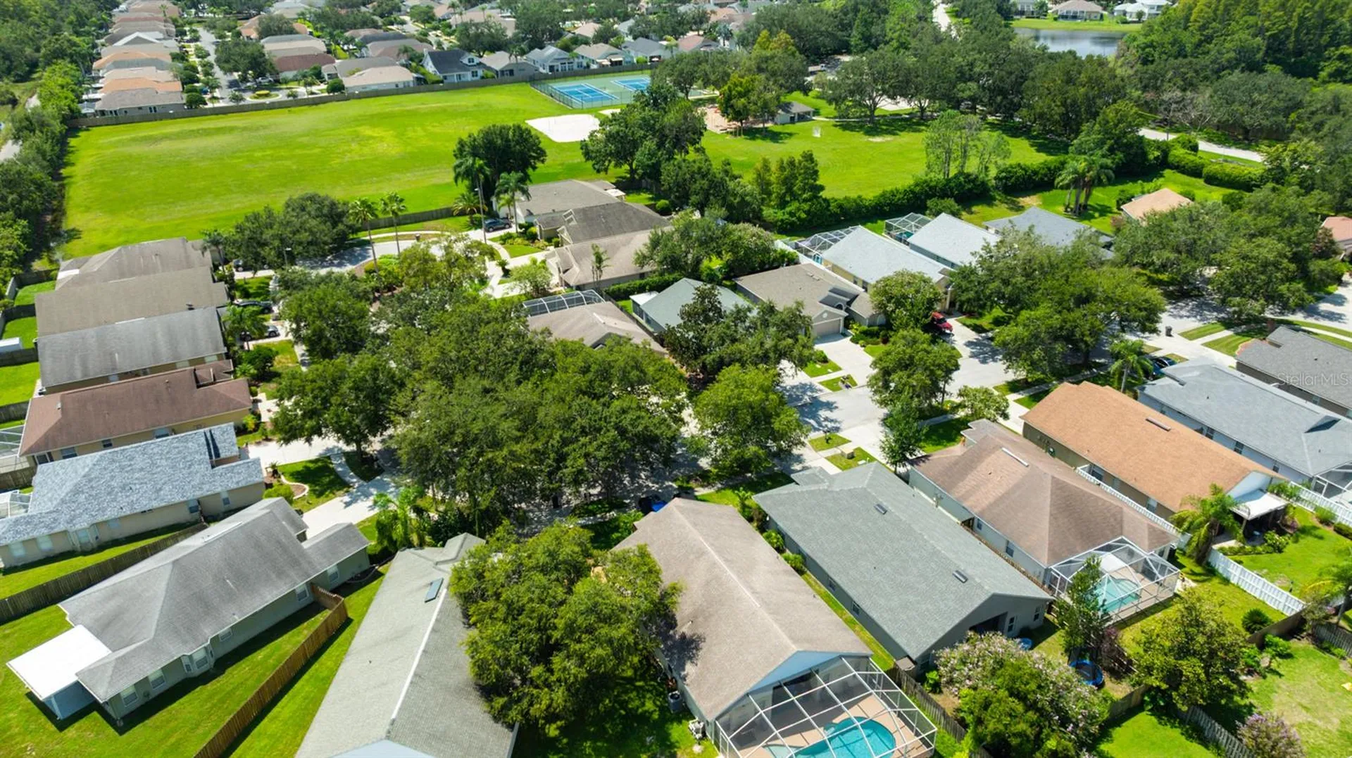 4517 Wild Plum Lane Lutz FL 33558