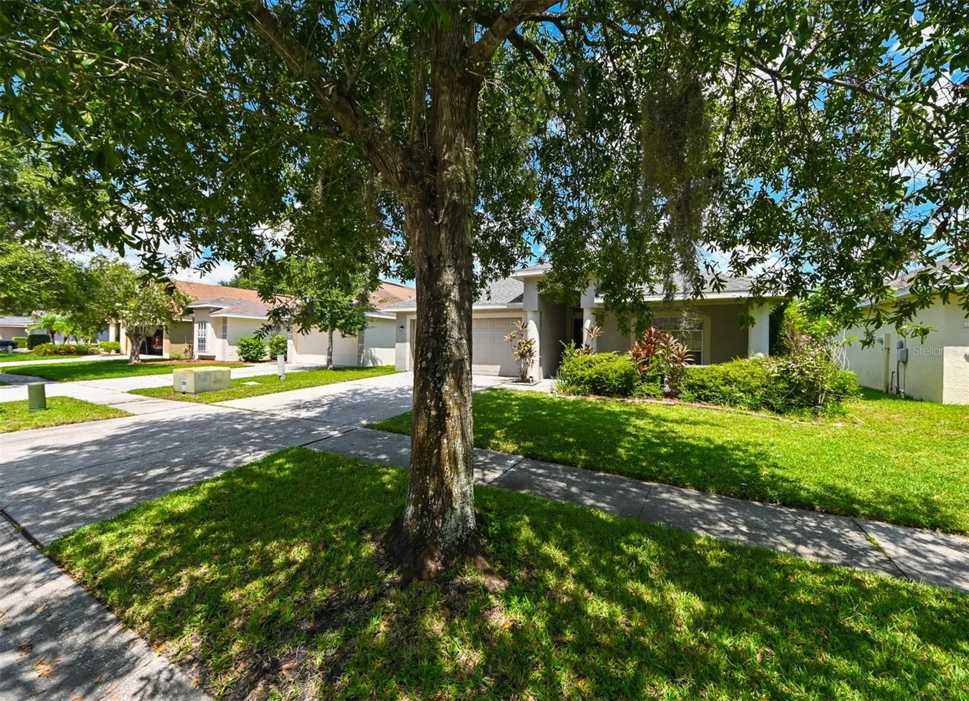 4517 Wild Plum Lane Lutz FL 33558
