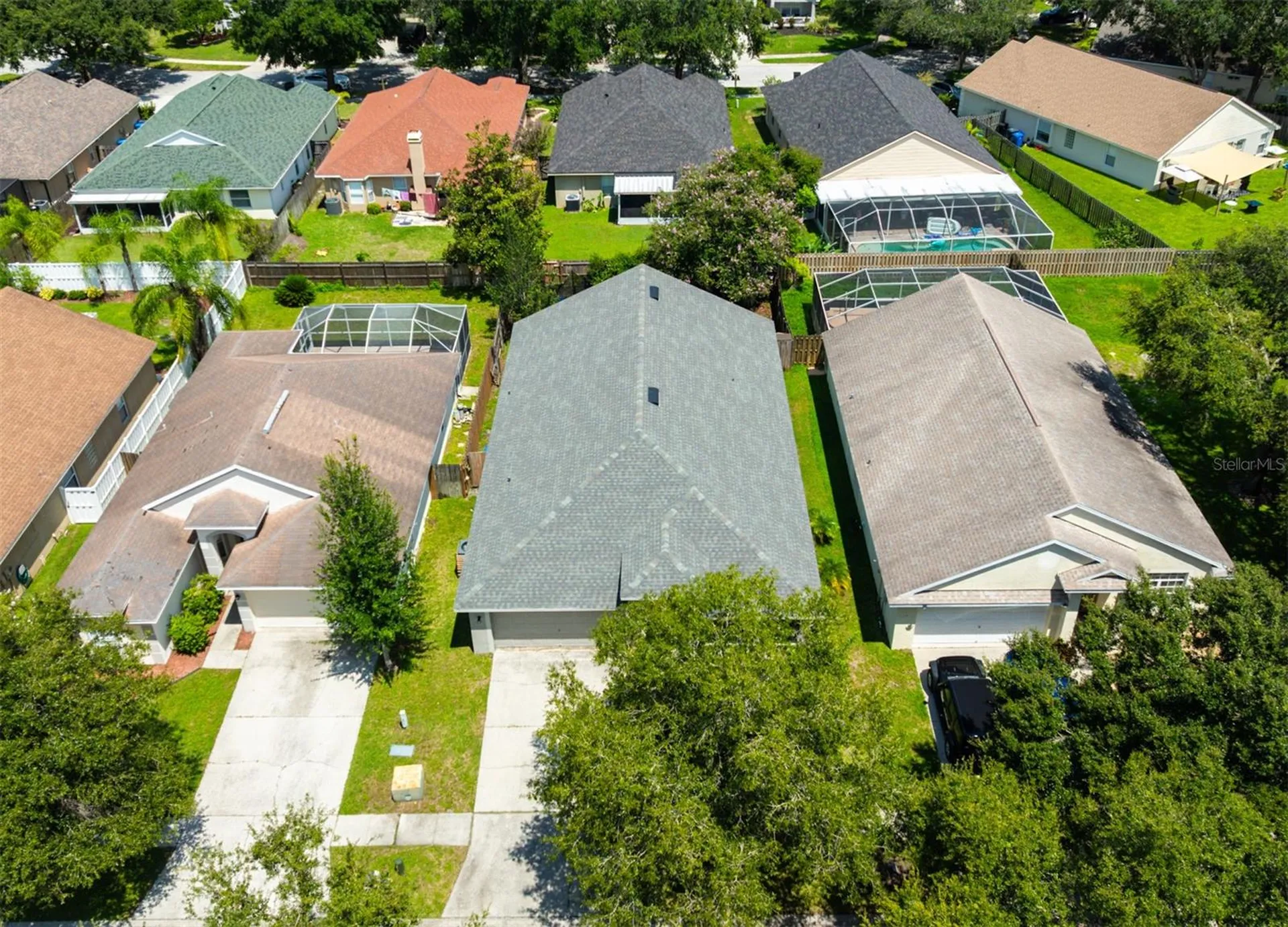 4517 Wild Plum Lane Lutz FL 33558