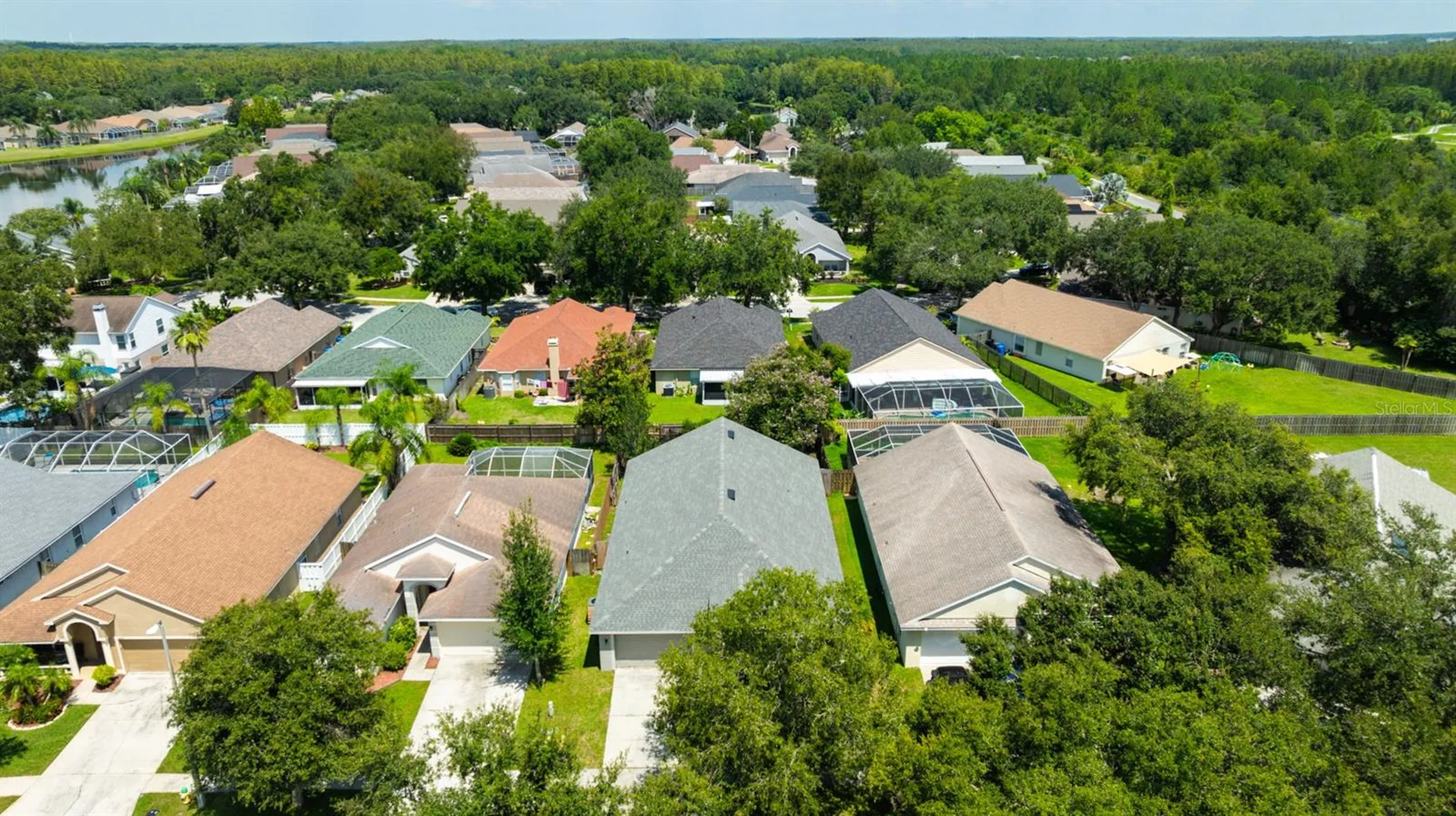 4517 Wild Plum Lane Lutz FL 33558