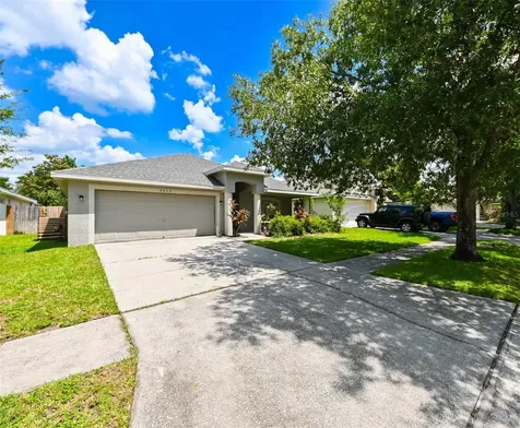 4517 Wild Plum Lane Lutz FL 33558